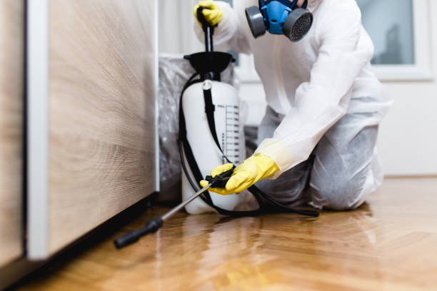Best Pest Inspection Near Me  in Spring Lake, NJ
