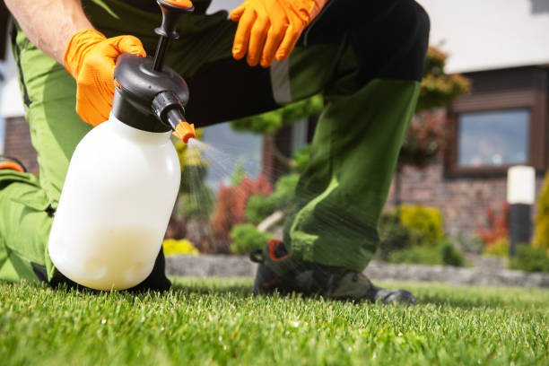 Best Emergency Pest Control  in Spring Lake, NJ