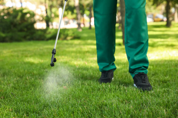 Best Residential Pest Control  in Spring Lake, NJ