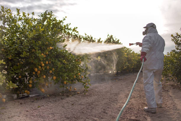 Reliable Spring Lake, NJ Pest Control Solutions