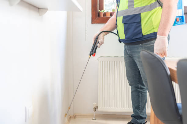 Flea Control Services in Spring Lake, NJ