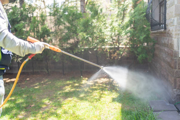 Best Flea Control Services  in Spring Lake, NJ