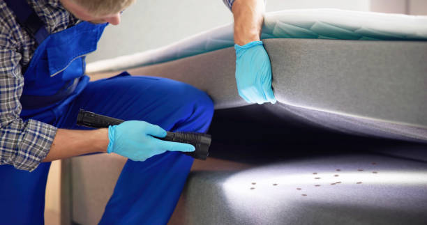 Best Pest Control Near Me  in Spring Lake, NJ